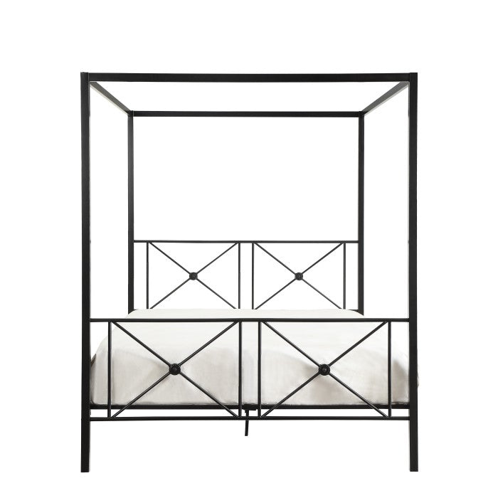 Rapa Queen Platform Bed