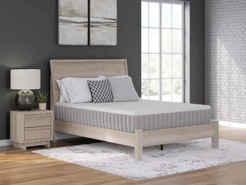 Terra Sleep Medium Mattress