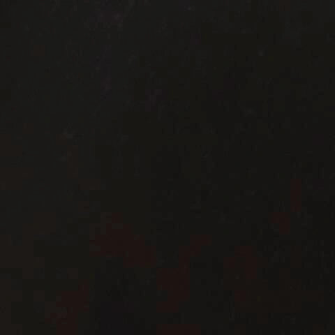 Wildenauer 48" Counter Height Bench